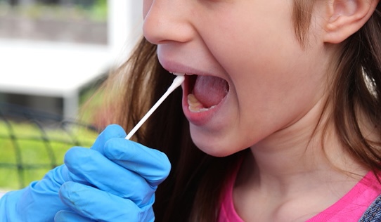 虫歯 歯周病を薬で治す3ds療法とは 八潮の歯医者なら子どもが楽しい歯医者さんlealea歯科矯正歯科クリニック