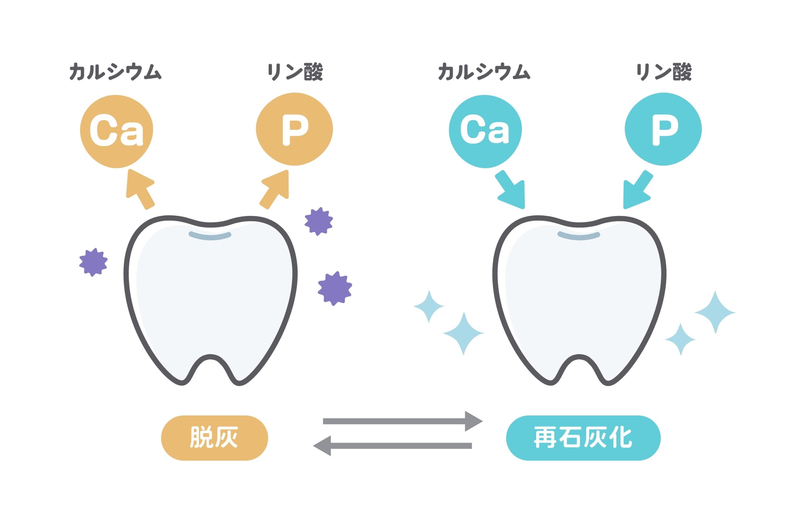 歯 の ひび 再 石灰 化